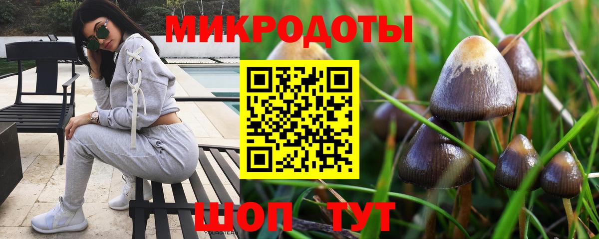 Псилоцибиновые грибы MAGIC MUSHROOMS Кириши